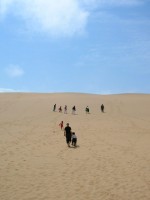 Climbing up a Dune