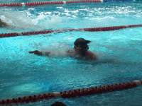 Go Steven!!!